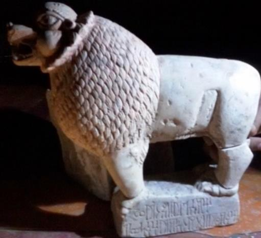 الشرعي بينون 20